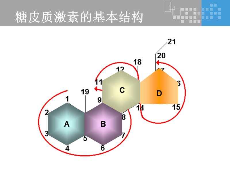 氟轻松是如何发挥其药理作用的？